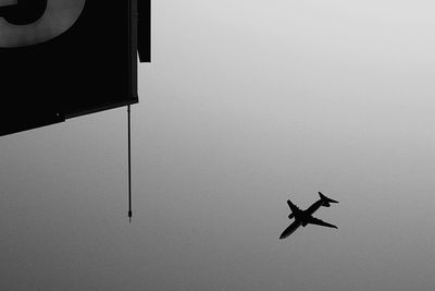 Low angle view of bird flying in sky