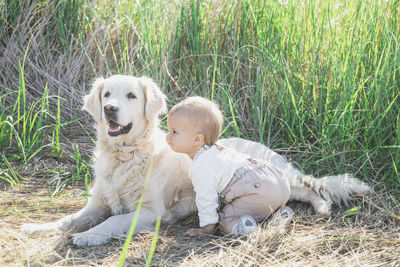 Close-up of dog on field