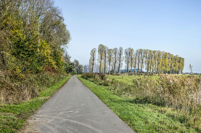 Road amidst trees on field against sky