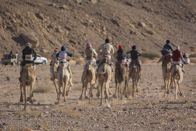 People riding horses on field