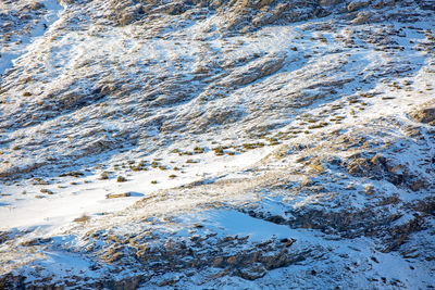 High angle view of snow on rock