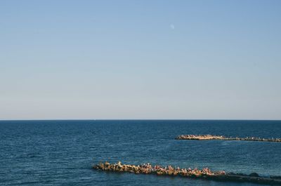 Scenic view of sea against clear sky