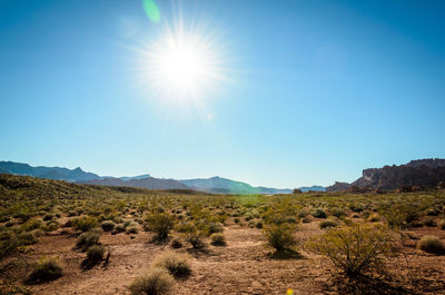 Scenic view of landscape against clear blue sky