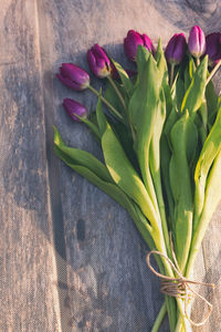 High angle view of tulip on table