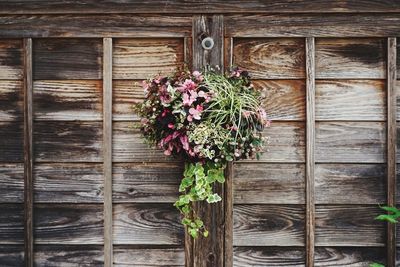 Close-up of flowering plants on wooden door