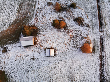 High angle view of snow covered tree