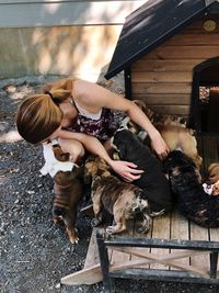 High angle view of woman playing with dogs while sitting on kennel