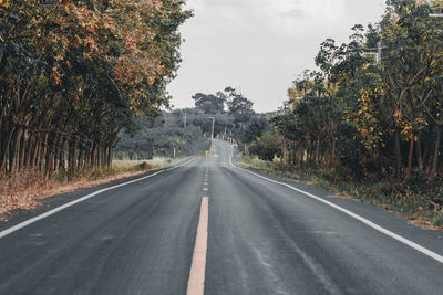 Tree road heading