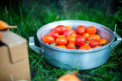 Close-up of tomatoes in container