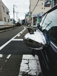 Butterfly on car