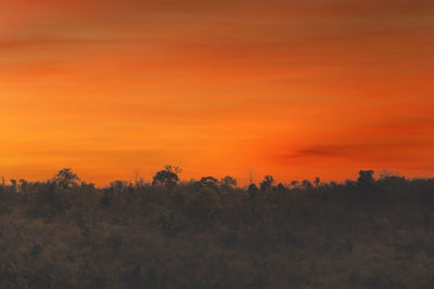 Scenic view of field against orange sky