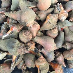 Full frame shot of firewood