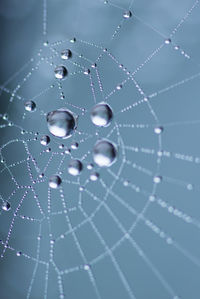 Close-up of water drops on leaf