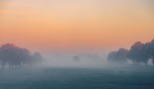 Scenic view of trees against sky during sunset