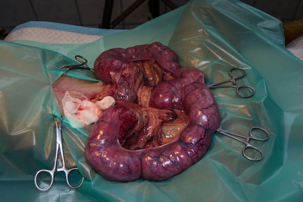 HIGH ANGLE VIEW OF MEAT ON TABLE