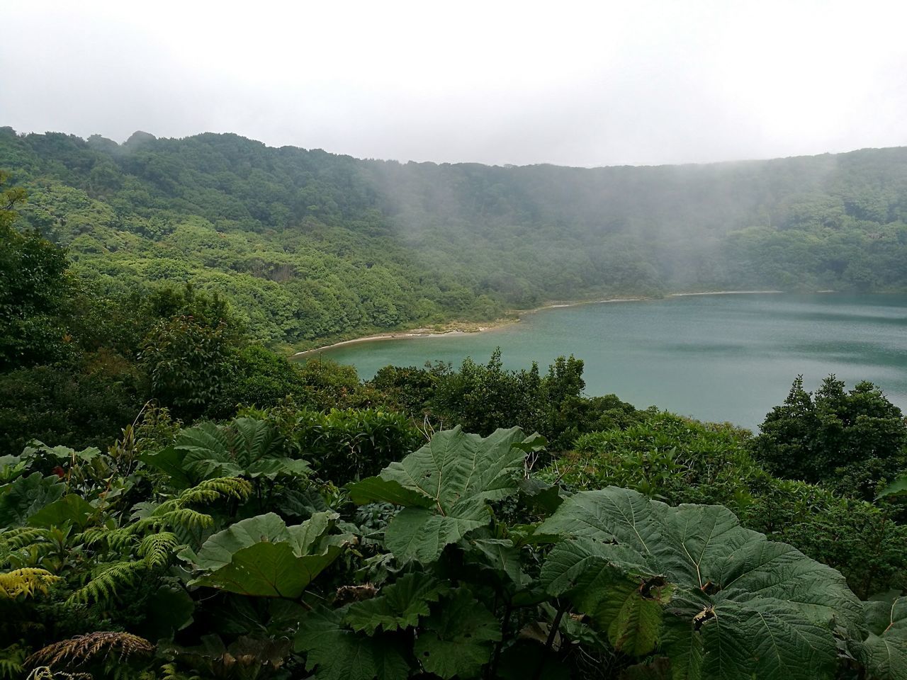 water, tranquil scene, scenics, tranquility, lake, beauty in nature, green color, non-urban scene, nature, plant, mountain, green, growth, moss, remote, sky, majestic, day, lush foliage, standing water, outdoors, countryside, solitude, physical geography, no people, mountain range, mist