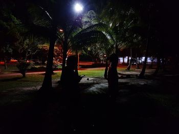 Man by trees at night
