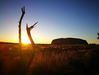 Silhouette plants on field against clear sky during sunset