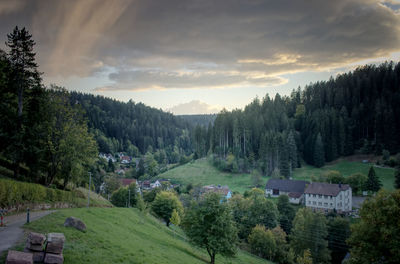 Panoramic view of trees and buildings against sky