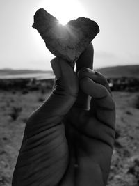 Close-up of hand holding crab on beach