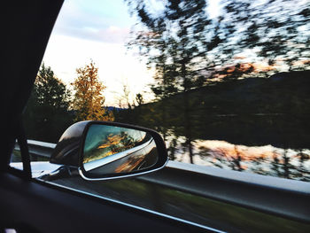 Reflection in side-view mirror of car