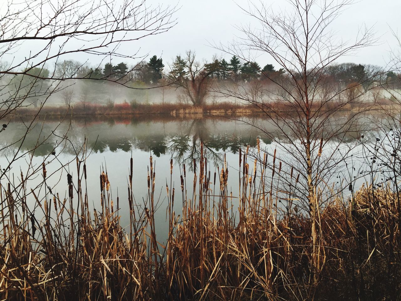 Little Fresh Pond