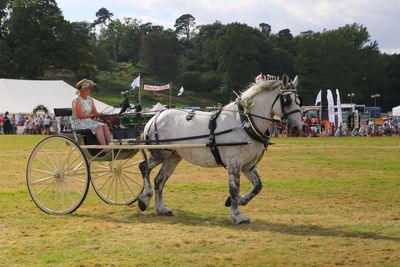 Horse cart