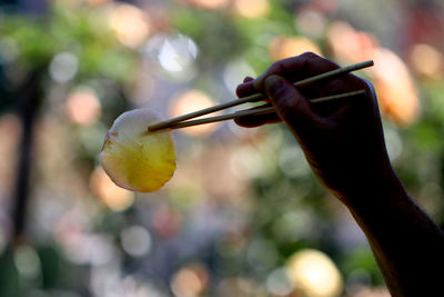 Close-up of hand holding bird