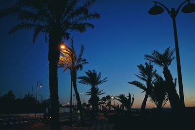 Low angle view of palm trees against clear blue sky