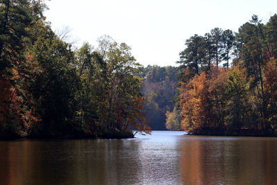 Trees by lake against sky during autumn