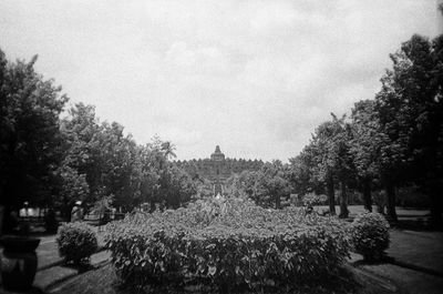 Trees in garden against sky in city