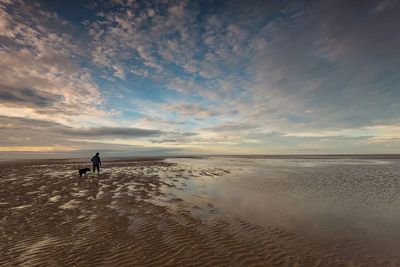 Rear view of woman with dog at beach during sunset