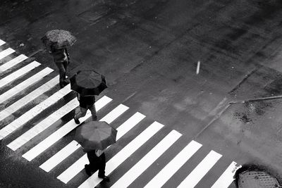 High angle view of men walking with umbrellas on zebra crossing in rain