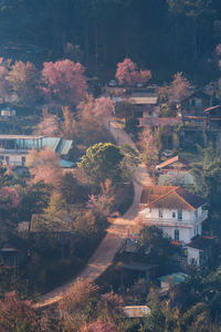 High angle view of trees and buildings in town