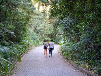 Rear view of people walking on footpath amidst trees