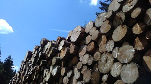 Low angle view of stack of logs against sky