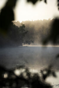 Defocused image of trees against sky