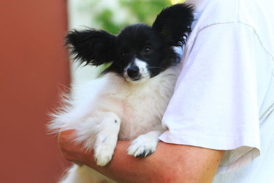 Midsection of woman with puppy