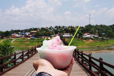 Cropped hand holding flavored ice in bowl