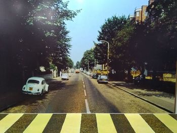 Cars on road by trees in city