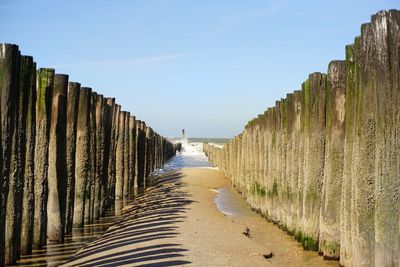 Panoramic view of wooden posts on beach against clear sky
