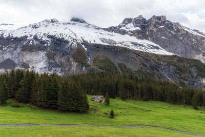 mountain