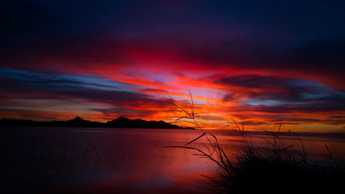 Silhouette plants by lake against dramatic sky during sunset