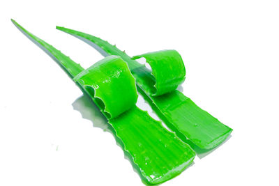 High angle view of leaf over white background