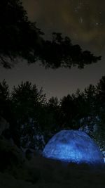 Silhouette trees against blue sky at night