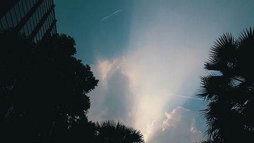 Low angle view of silhouette trees against sky