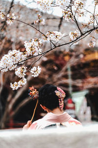 Rear view of woman standing under cherry blossom