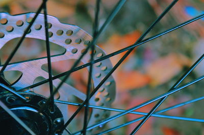 Close-up of bicycle wheel