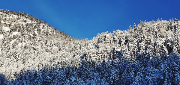 Scenic view of snow covered land against clear blue sky