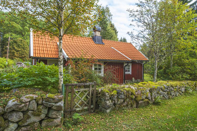 Plants growing outside house against trees and building